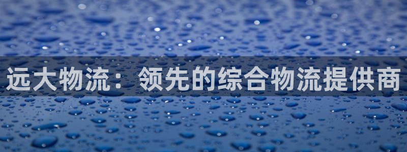 28圈登录不上咋回事：远大物流：领先