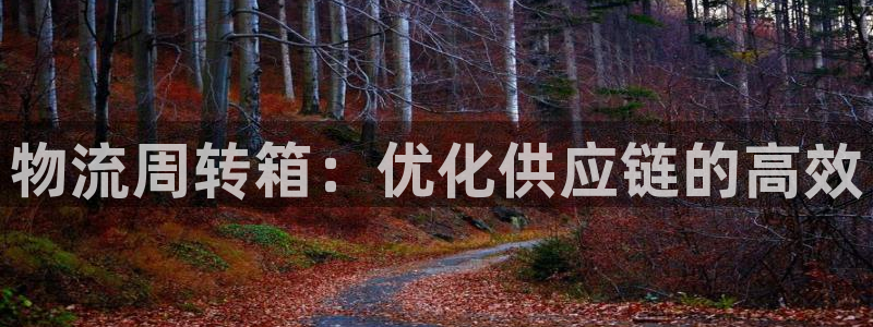 28圈黑不黑：物流周转箱：优化供应链