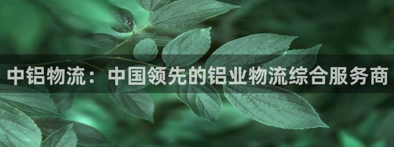 28圈黑不黑：中铝物流：中国领先的铝