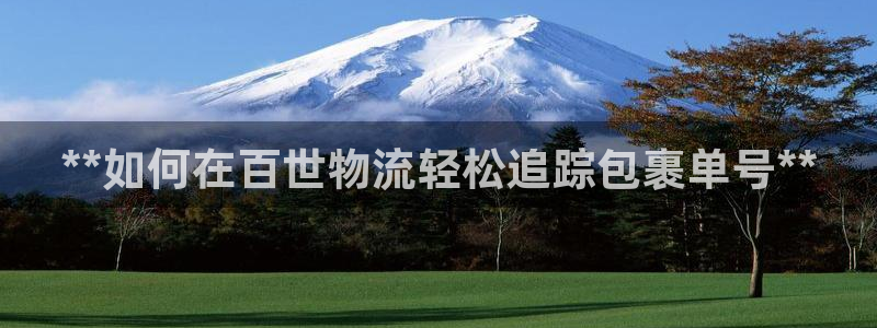 28圈app能退款吗：**如何在百世