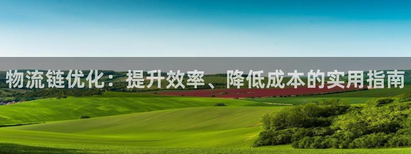 28圈注册网站谁有：物流链优化：提升