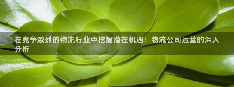 28圈游戏官网平台