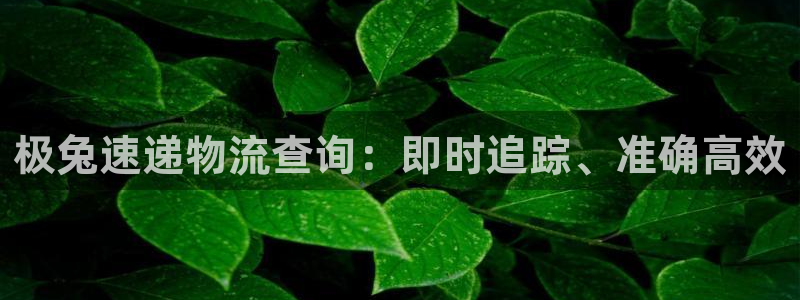 28圈.ccmo