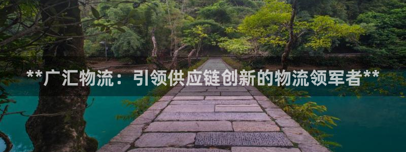 28圈官方官网版：**广汇物流：引领
