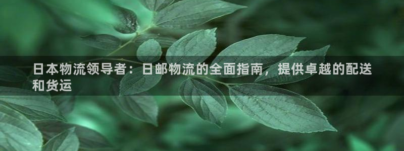 28圈提现不到账：日本物流领导者：日
