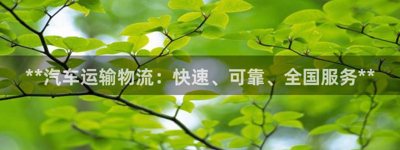 28圈官网注册：**汽车运输物流：快
