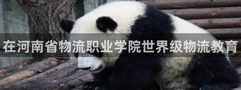 28圈链接