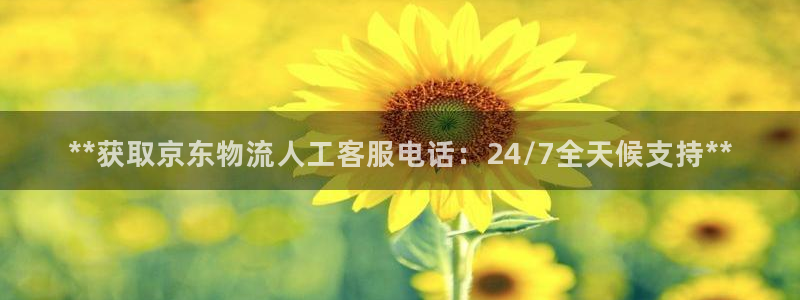 28圈ip被限制怎么解决：**获取京