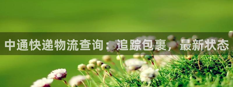28圈分分压单双技巧：中通快递物流查