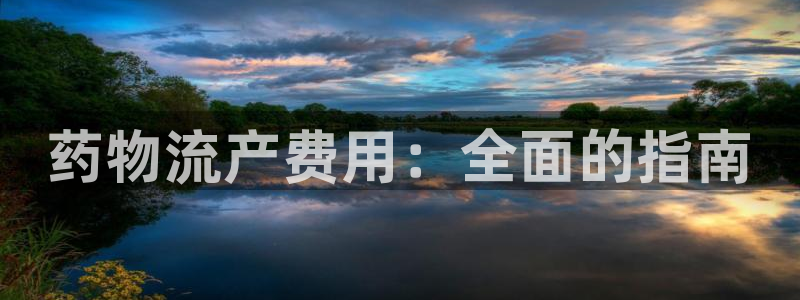 28圈.ccmpc预测：药物流产费用