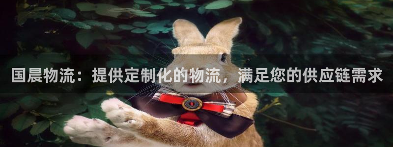 28圈登录不上咋回事：国晨物流：提供