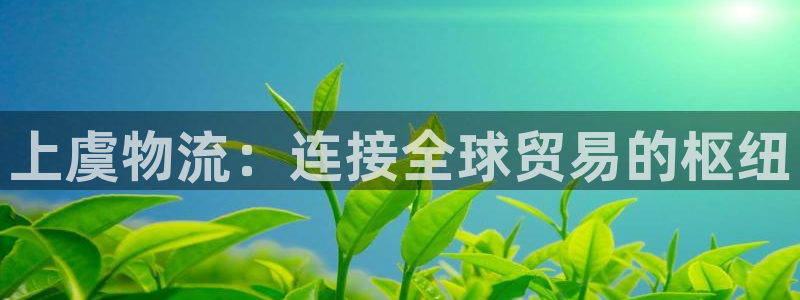 28圈充值不到账什么原因：上虞物流：