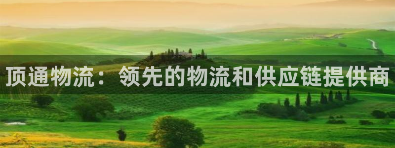 28圈充值为什么充不了：顶通物流：领