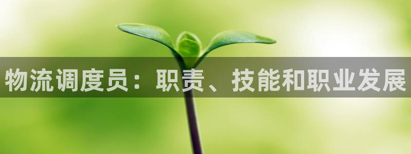 28圈初始密码在哪里修改的：物流调度