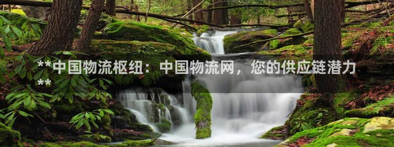 28圈官网版2024：**中国物流枢