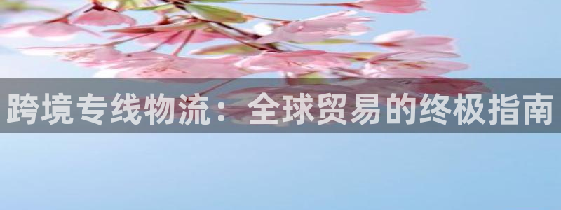 28圈官网网站：跨境专线物流：全球贸