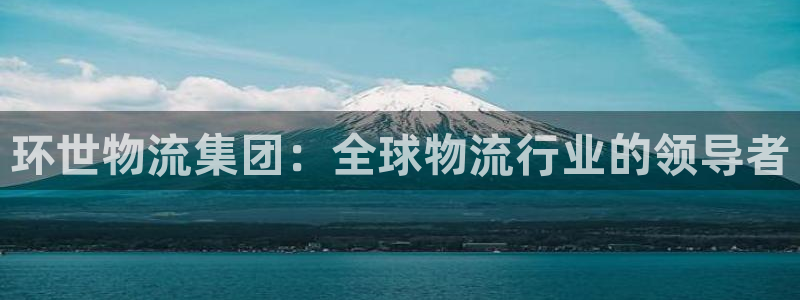 28圈合法吗：环世物流集团：全球物流