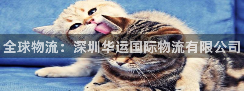 28圈圈：全球物流：深圳华运国际物流