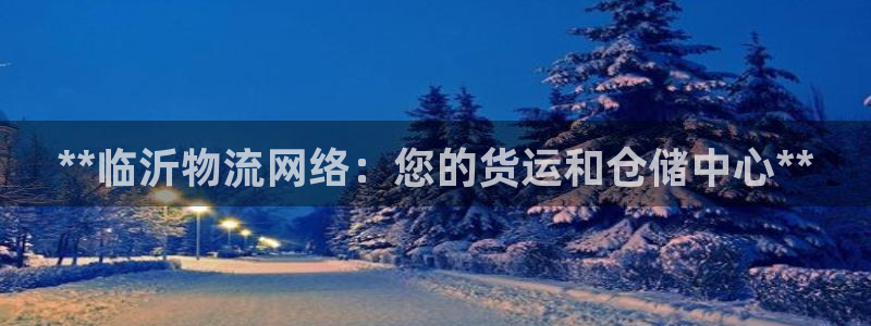 28圈注册平台：**临沂物流网络：您