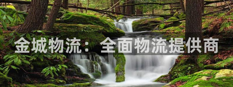 28圈人头费：金城物流：全面物流提供
