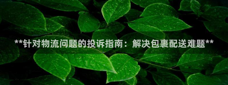 28圈怎么申请代理