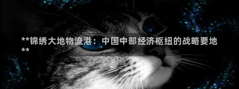 28圈官方版正版：**锦绣大地物流港