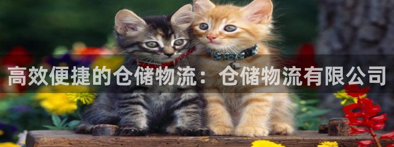28圈机器人是什么软件