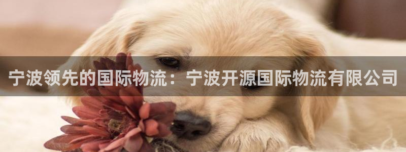 28圈登录用户名登录不上：宁波领先的