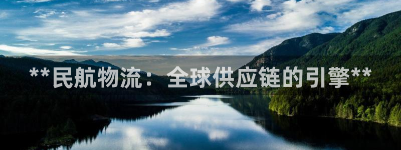 28圈官方：**民航物流：全球供应链