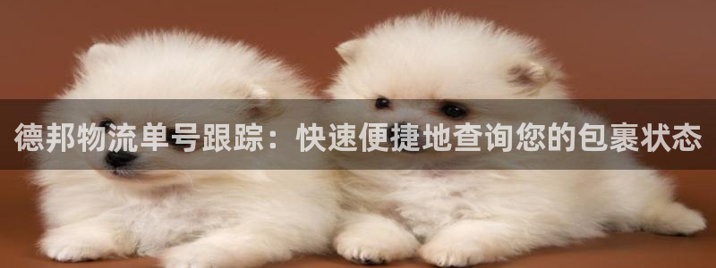 28圈网赌有什么风险：德邦物流单号跟