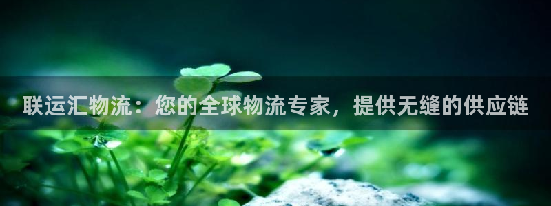 28圈正规吗：联运汇物流：您的全球物