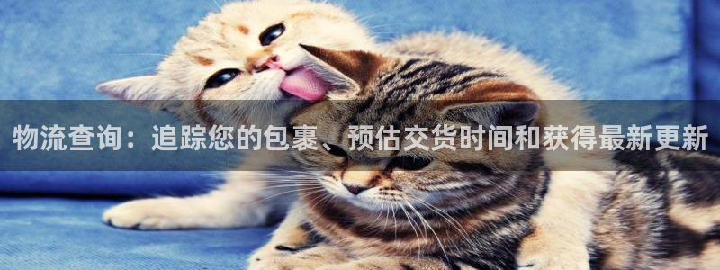 28圈登录流程：物流查询：追踪您的包