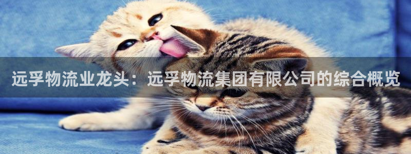 28圈注册网站多少：远孚物流业龙头：