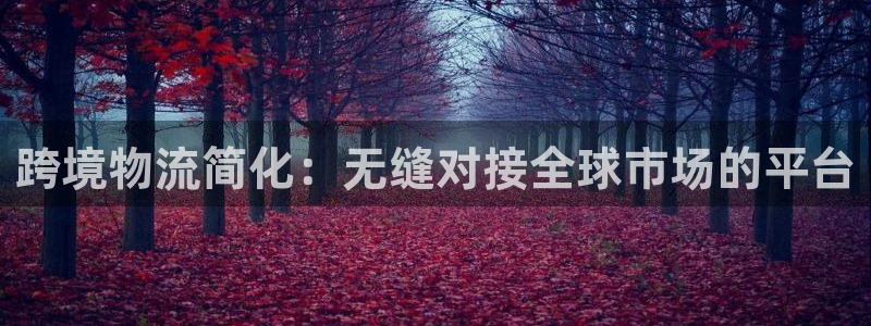 28圈官方网站预测：跨境物流简化：无