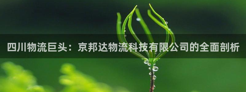 28圈预测加拿大师准