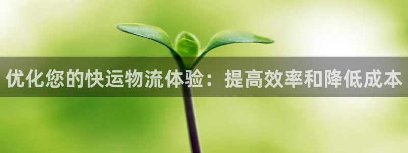 28圈注册入口与教程：优化您的快运物