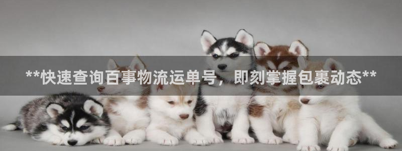 28圈如何看计划：**快速查询百事物