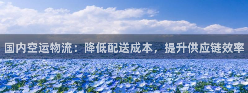 28圈新用户怎么注册：国内空运物流：