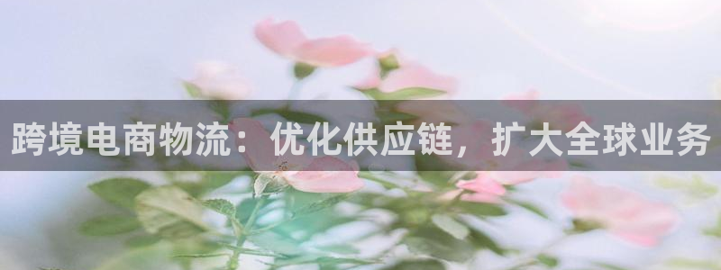 28圈加拿大真假怎么看：跨境电商物流