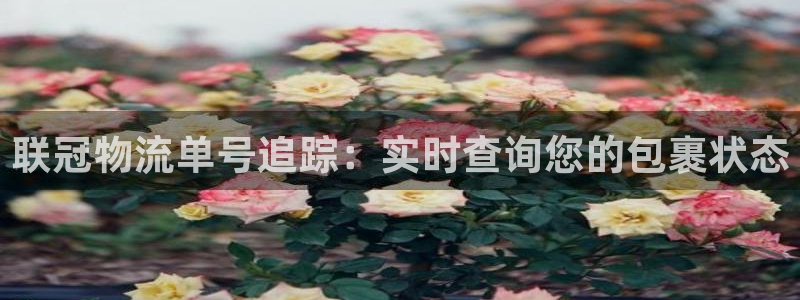 28圈昵称：联冠物流单号追踪：实时查