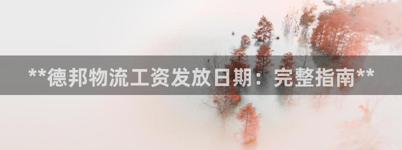 28圈充值方式：**德邦物流工资发放
