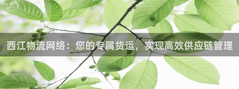 28圈怎么注册：西江物流网络：您的专