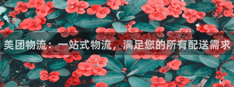 28圈是干嘛的：美团物流：一站式物流