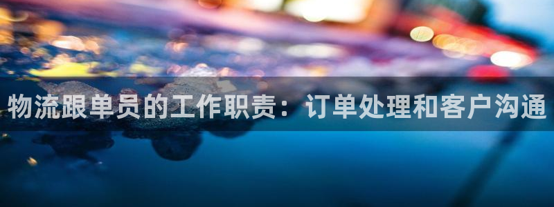 28圈提款一直没到：物流跟单员的工作