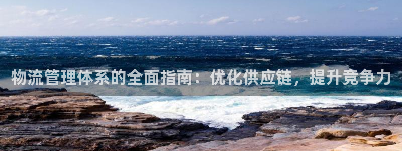 28圈充值不到账什么原因：物流管理体