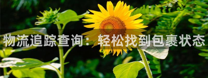 28圈现在狂杀：物流追踪查询：轻松找