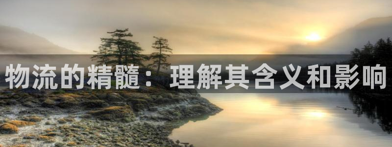 28圈软件：物流的精髓：理解其含义和