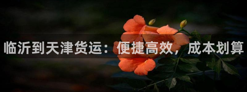 28圈加拿大app预测：临沂到天津货