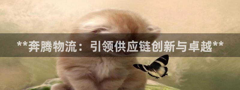 28圈游戏：**奔腾物流：引领供应链