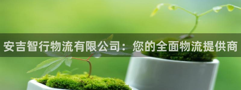 28圈那个才是充值账号：安吉智行物流